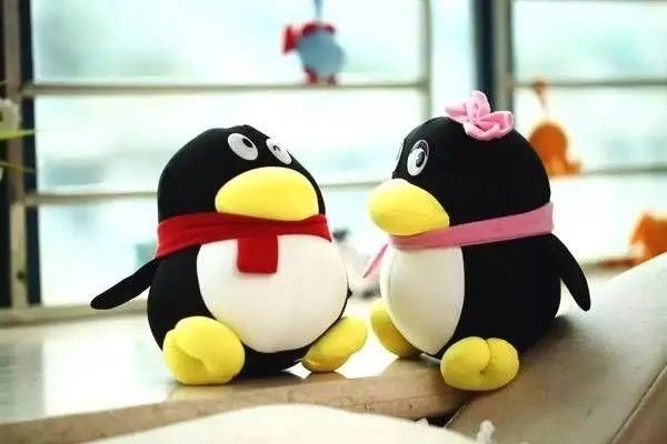 用别人的qq注册的blued账号密码忘记了怎么处理?